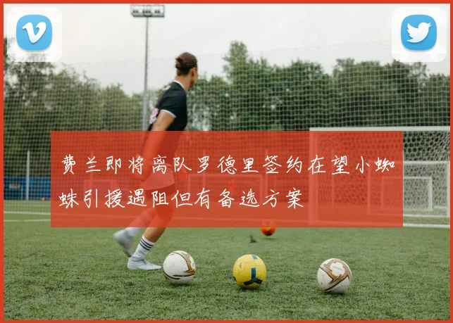 费兰即将离队罗德里签约在望小蜘蛛引援遇阻但有备选方案